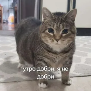😠