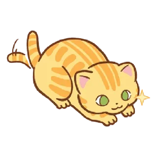 🐱