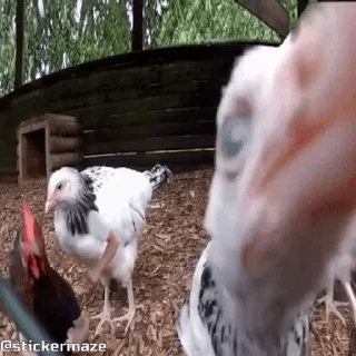 👋