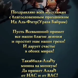 🌟