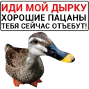 🦆