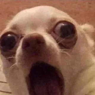 😱