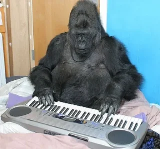 🎹
