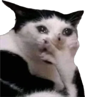 😭