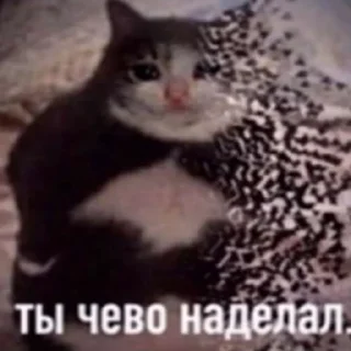 🥲