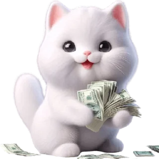 💸