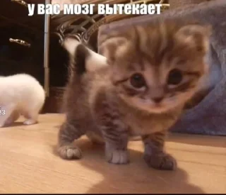 😉
