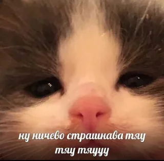 💗