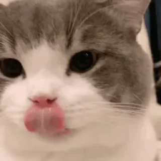😝
