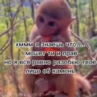 😍