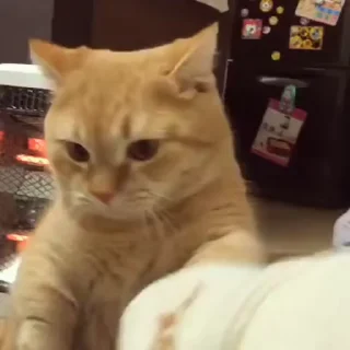 👊