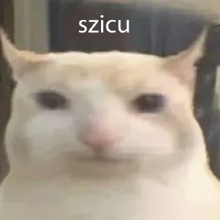 😏