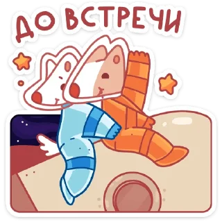 🚀