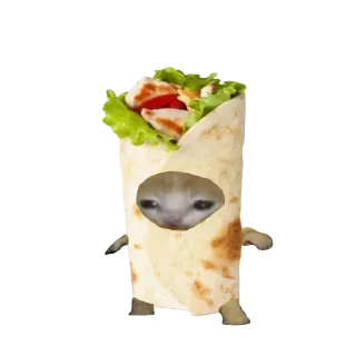 🌯