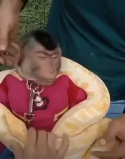 🫣