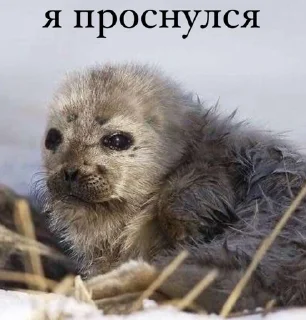 😒