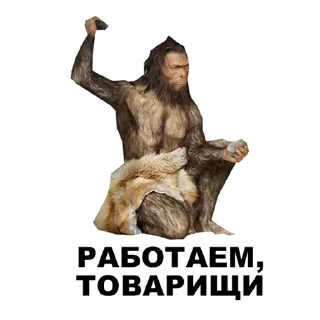 🔨