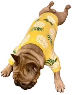🍍