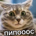 😮