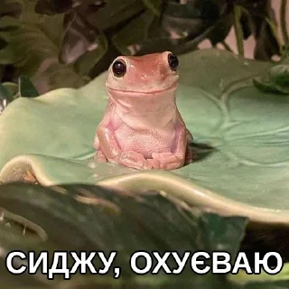 🤭