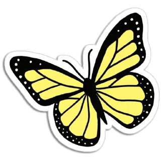 🦋