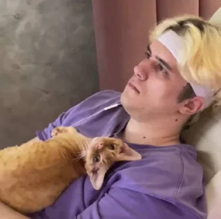 🐱