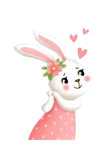 🐰