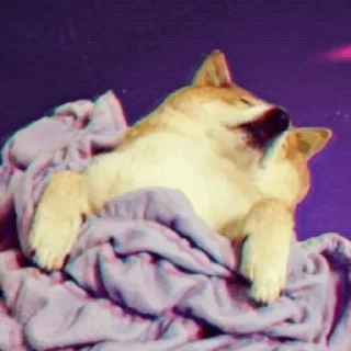 😴