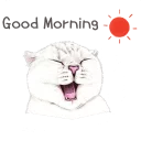 ☀
