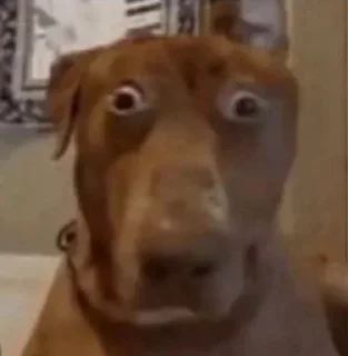 😱