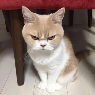 😬