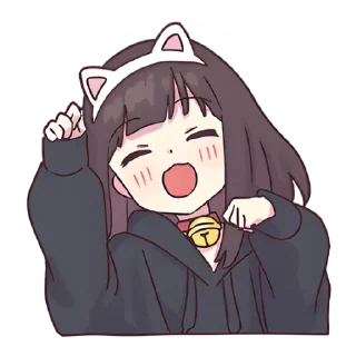 😽