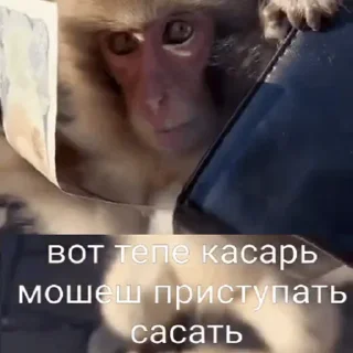 👇