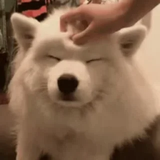 ☺️