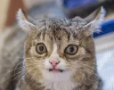 😨