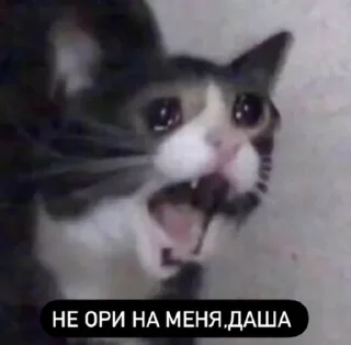 😭