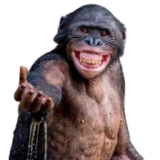 👋