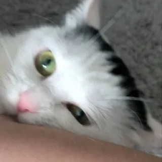 🤪