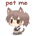 🐱