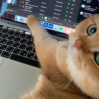 👈