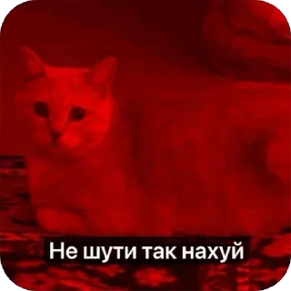 🫥