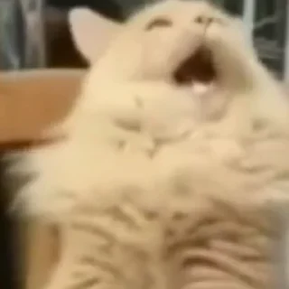 😫