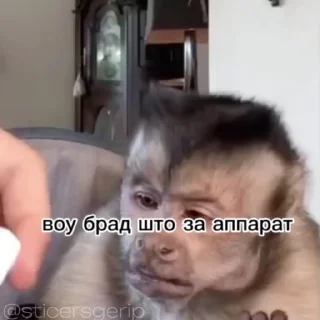😂
