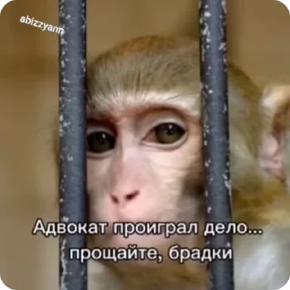 😢