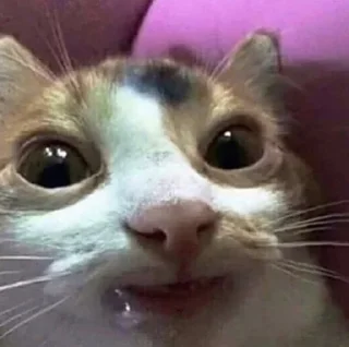 🙂