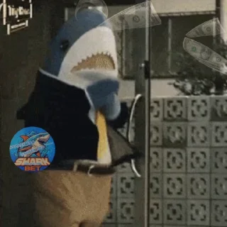💰