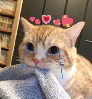 💖
