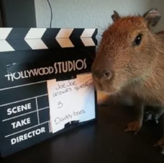 🎬