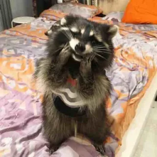🤭