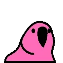 🦜